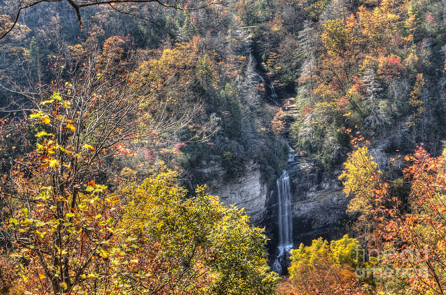 Raven Cliff Falls #1 Photograph by David Waldrop