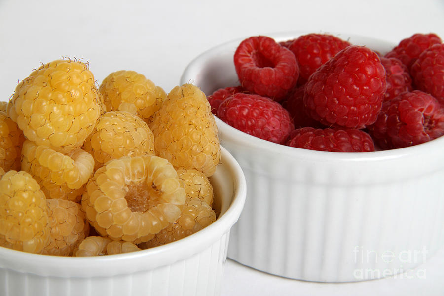 Red And Golden Raspberries #1 Photograph by Photo Researchers, Inc.