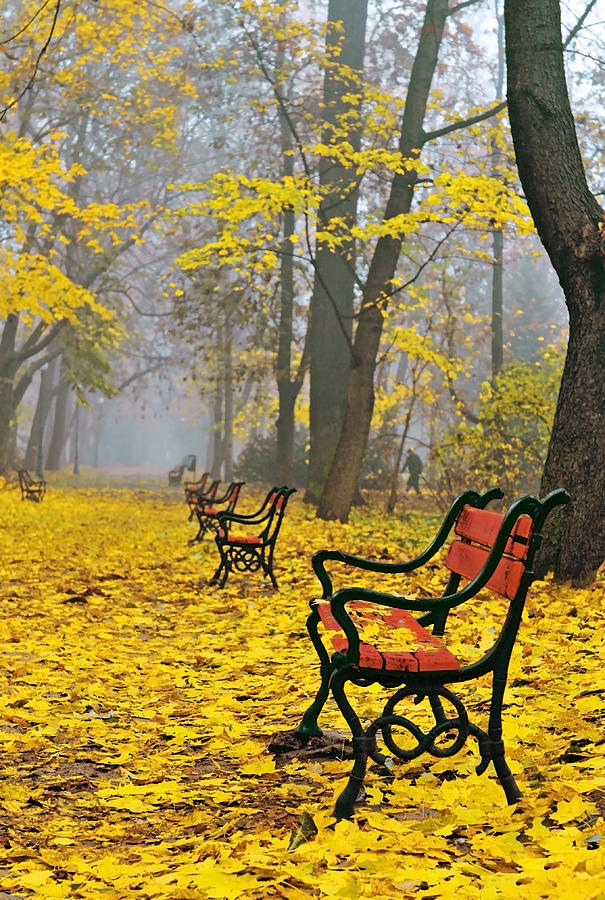 Fall Photograph - Red benches in the park #1 by Jaroslaw Grudzinski