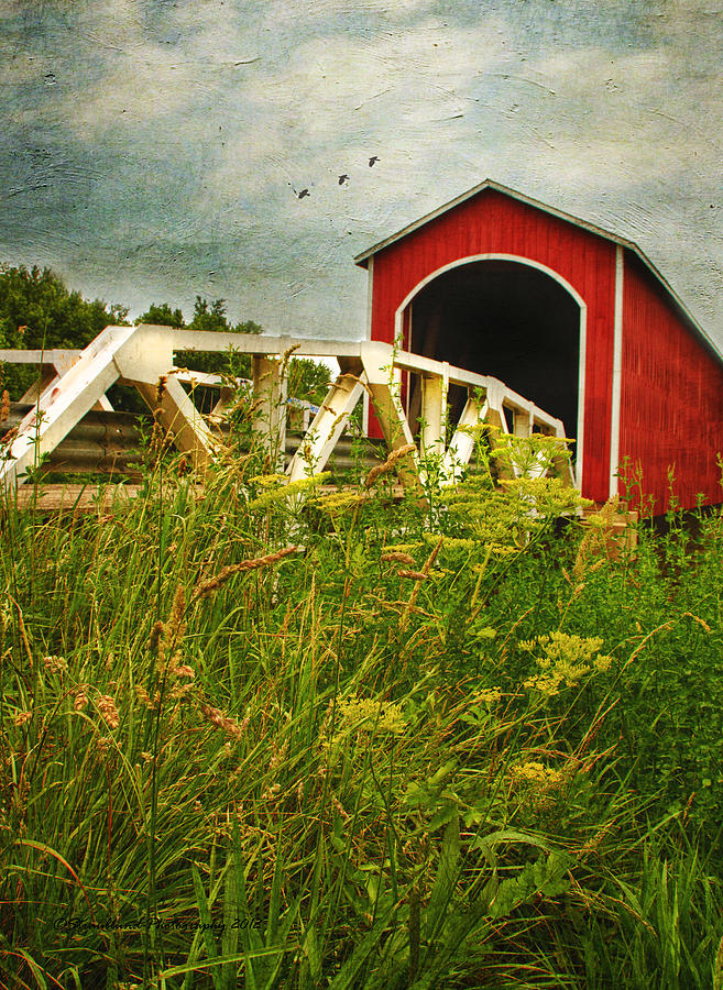 Red Covered Bridge Photograph By Straublund Photography   1 Red Covered Bridge Marcia Straub 