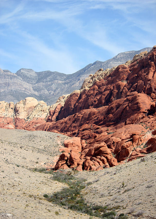 Red Rock Canyon 2 #1 Photograph by Brook Burling