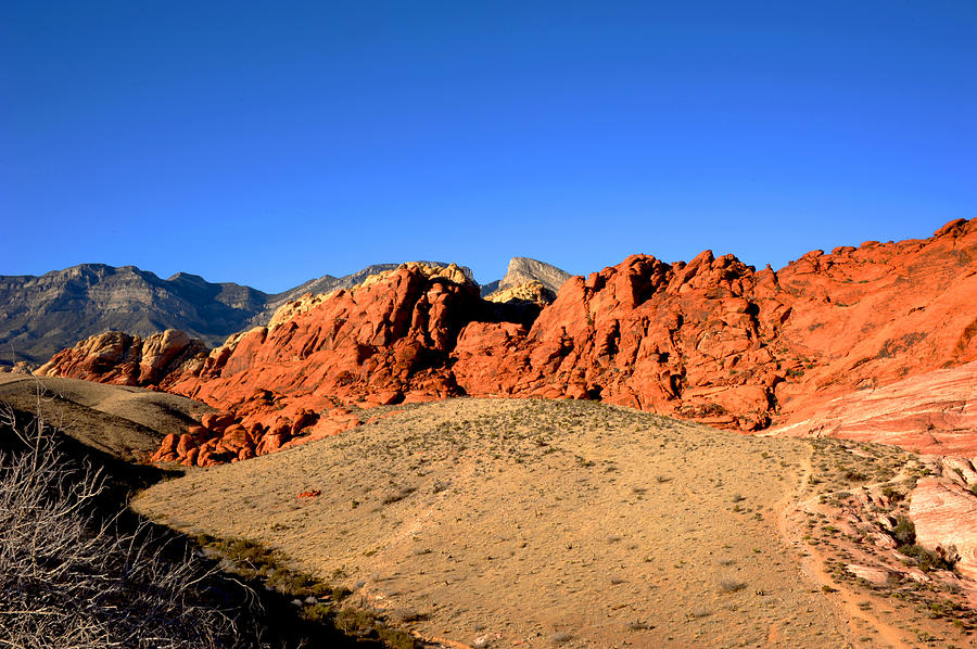 Red Rock Canyon #1 Photograph by Anthony Citro