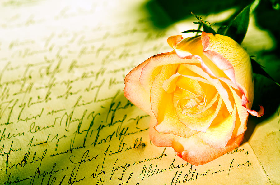 Red yellow rose over a hand written letter #1 Photograph by U Schade