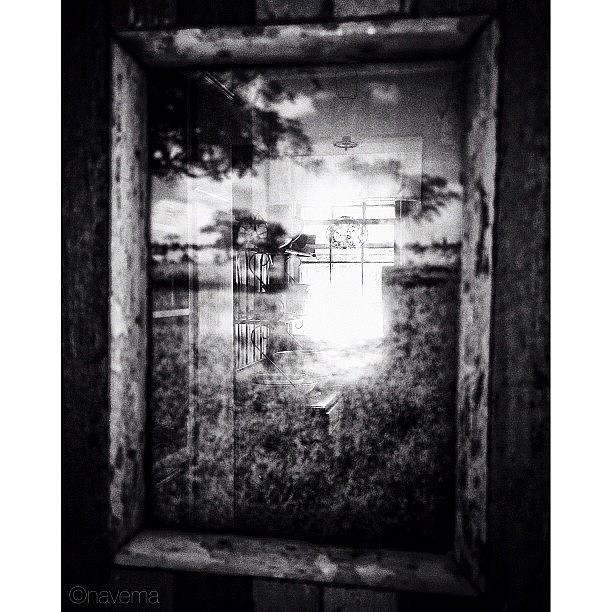 Blackandwhite Photograph - Reflection #1 by Natasha Marco