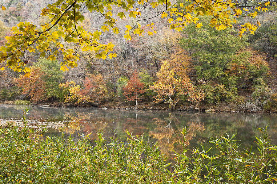 Reflections in Fall #1 Photograph by Iris Greenwell