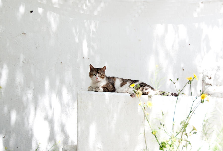 Greek Photograph - Relax #2 by Laura Melis