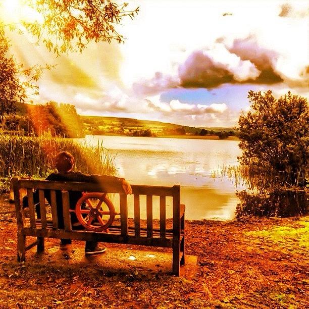 Nature Photograph - Relax  #1 by Rachel Williams