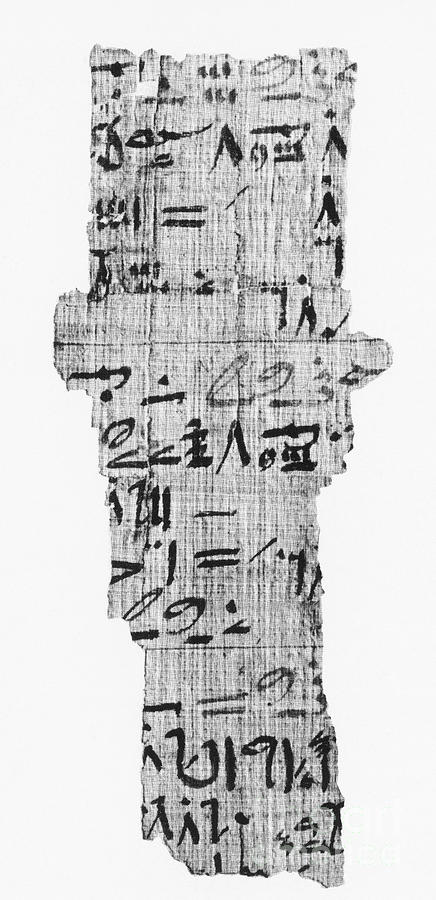 Rhind Papyrus #1 Photograph by Photo Researchers