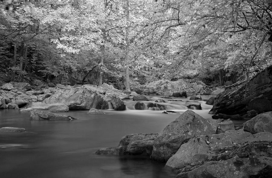 Richland Creek #1 Photograph by David Troxel