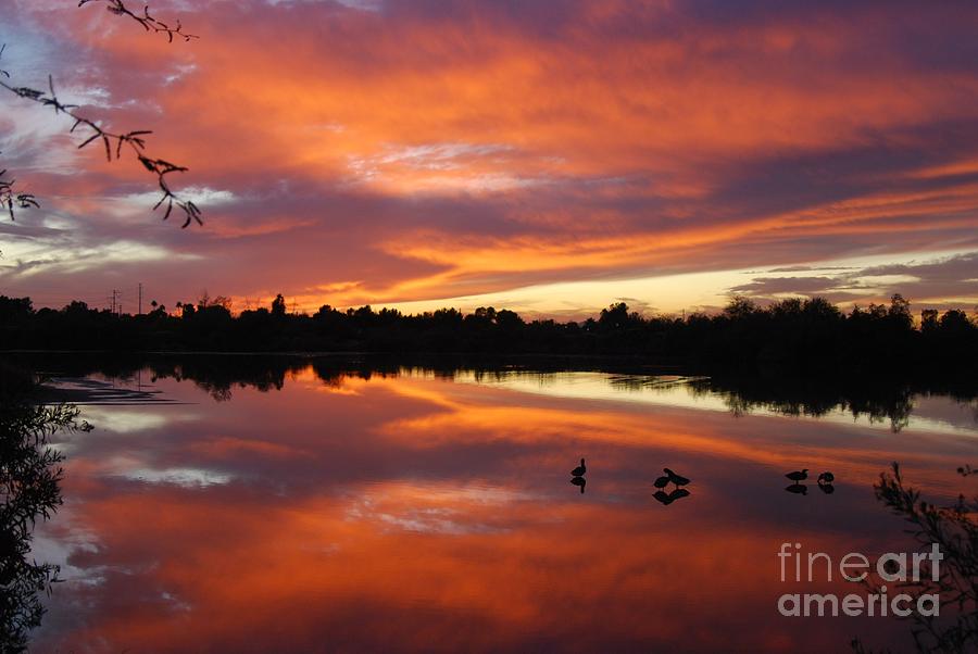 Riparian Sunset #3 Photograph by Tam Ryan