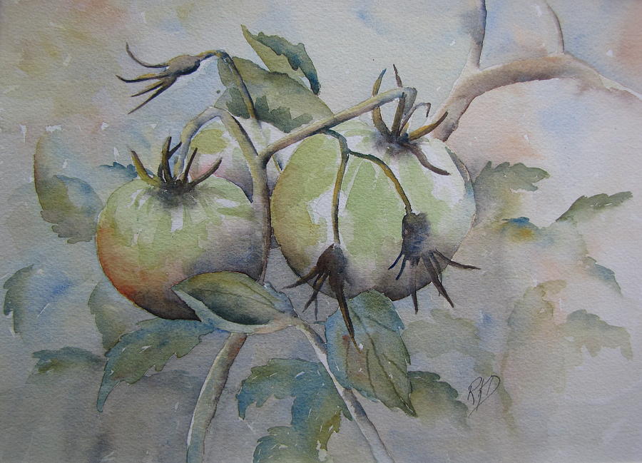 Tomato Painting - Ripening on the Vine #1 by Ramona Kraemer-Dobson