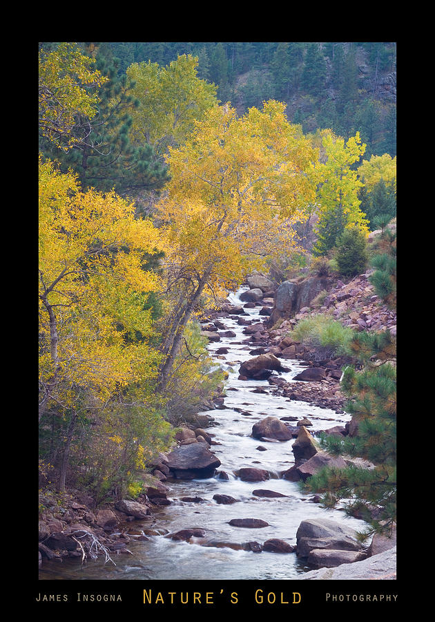 Rocky Mountain Golden Canyon Scenic View Photograph