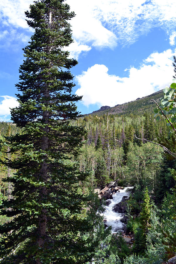 Rocky Mountain National Park2 #1 Photograph by Zawhaus Photography