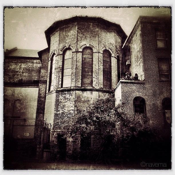 Gmy Photograph - Romanesque Brooklyn #1 by Natasha Marco