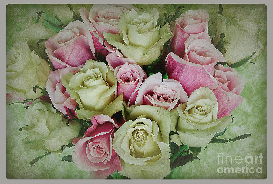 Rose Bouquet Antique Pink and Green Watercolor Background Photograph by Jim And Emily Bush