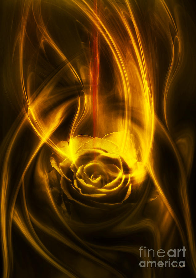 Rose with red flow #1 Digital Art by Johnny Hildingsson