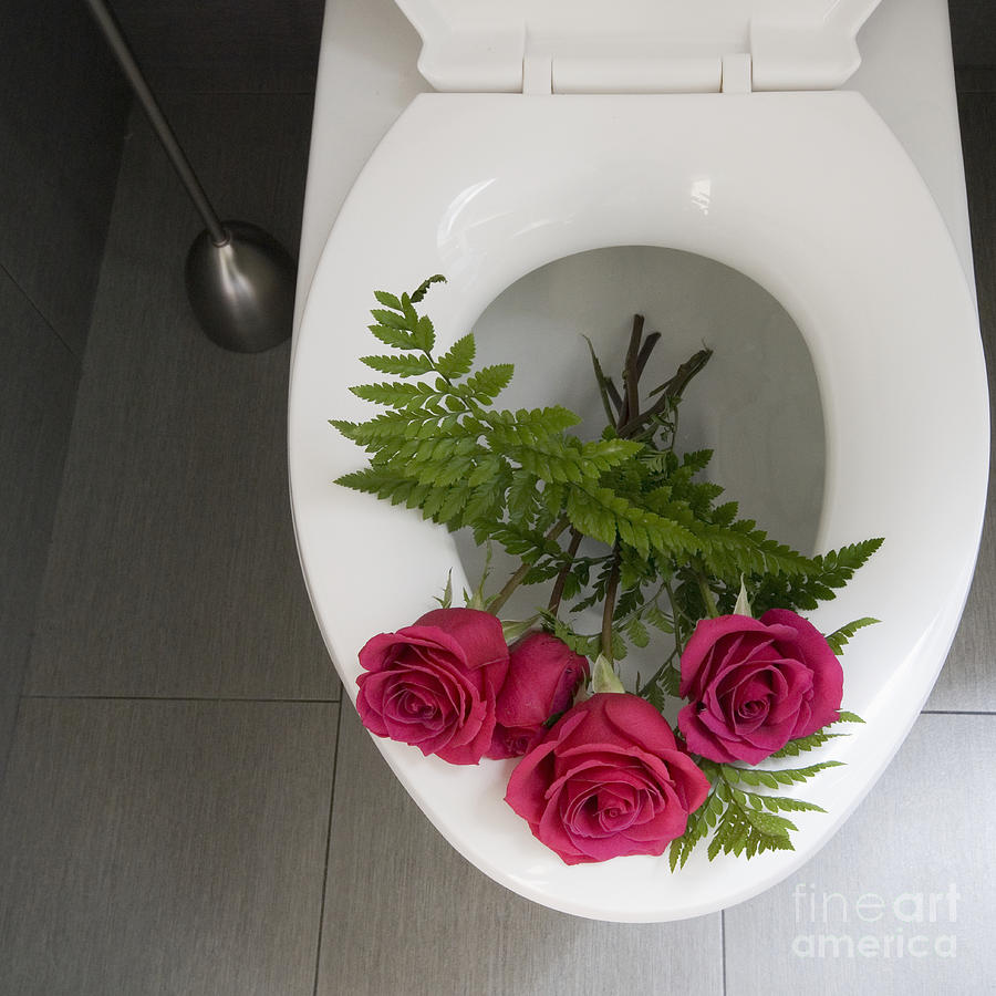 1-roses-in-a-toilet-marlene-ford.jpg