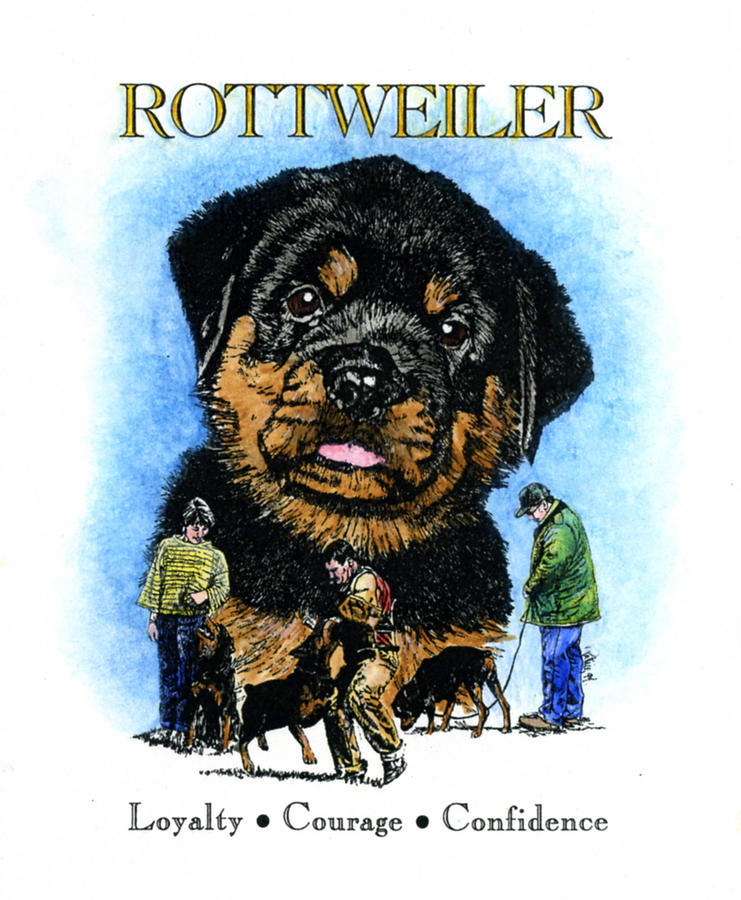 Rottweiler #2 Painting by Patrice Clarkson