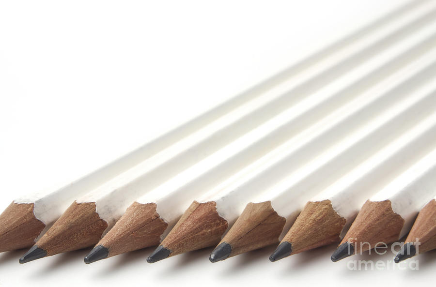 Row of white pencils #1 Photograph by Blink Images - Pixels
