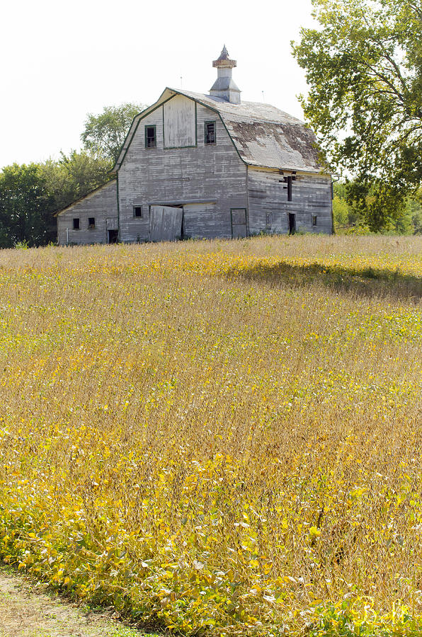 Rural America #1 Photograph by Christine Belt