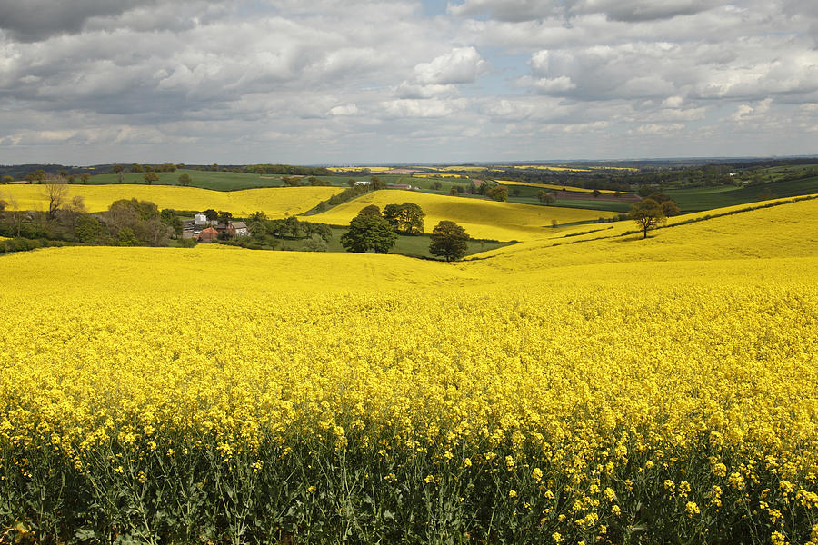 Spring Photograph - Rural England by Mark Richardson