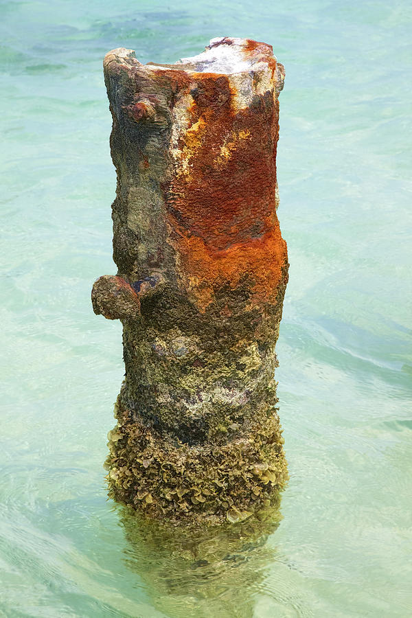 Rusted Dock Pier of the Caribbean VII #1 Photograph by David Letts