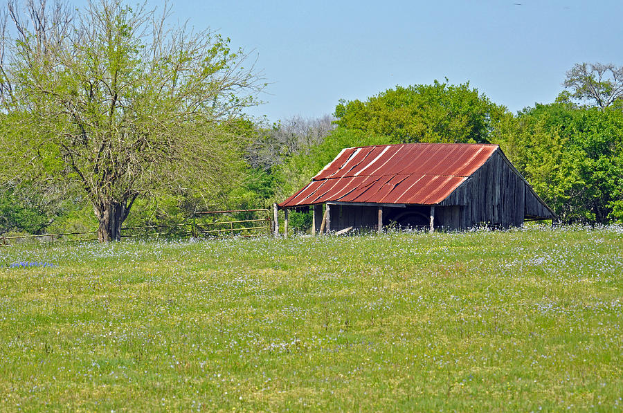 Rustic Barn #1 Photograph by Teresa Blanton