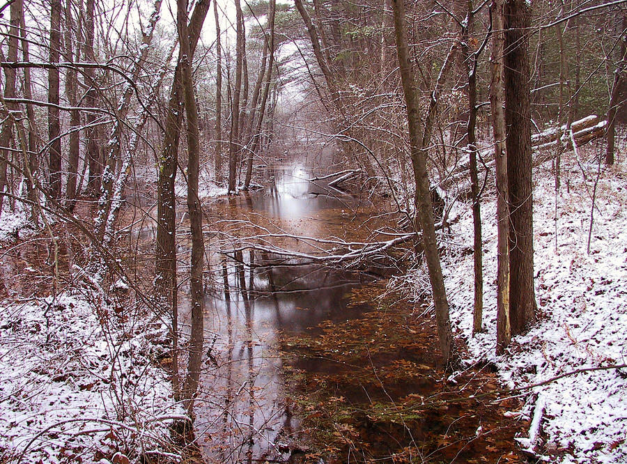 Sacred Stream #1 Photograph by Frank Winters
