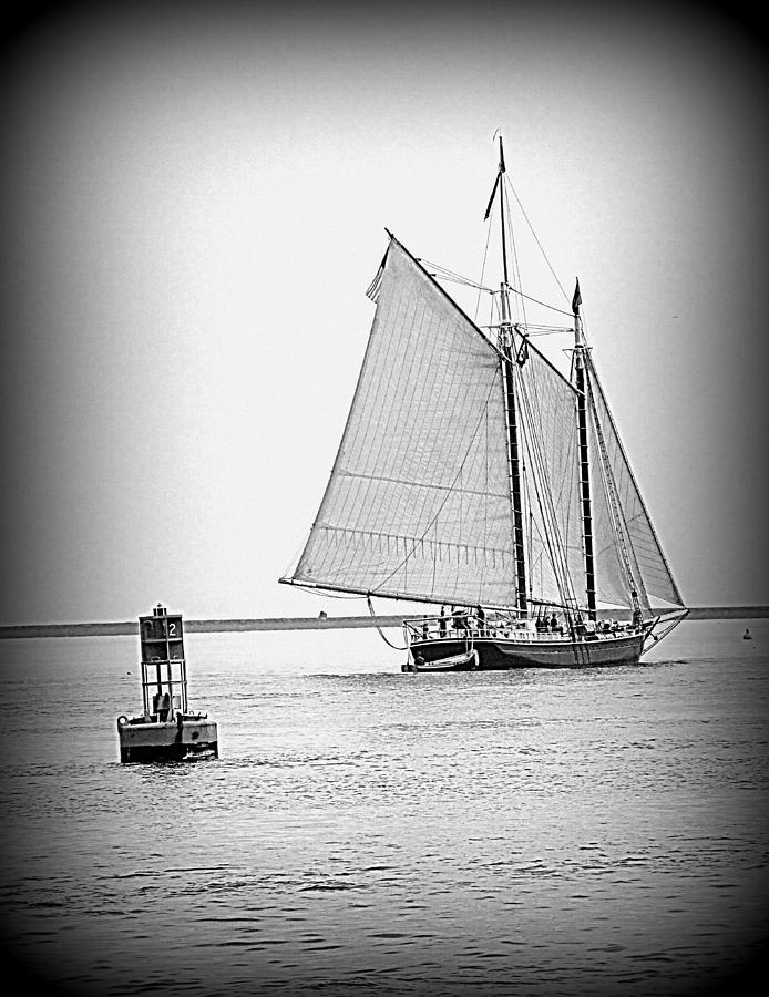 Sail Away #1 Photograph by Doug Mills