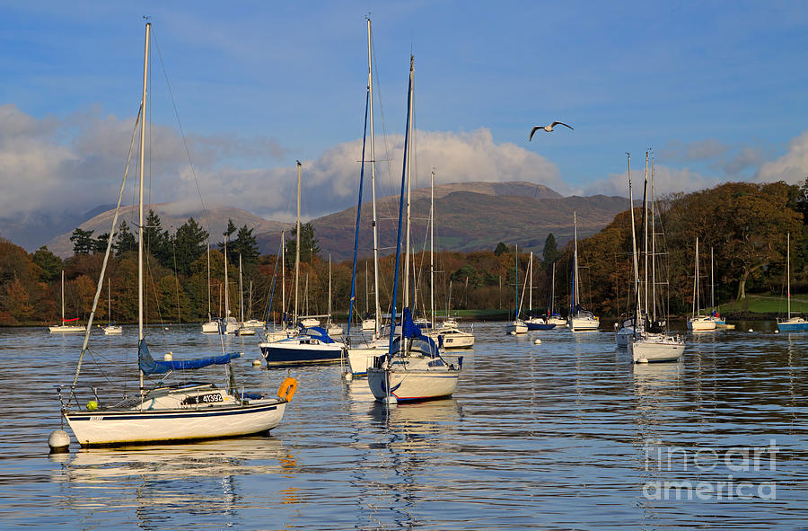Sailboats At Anchor in Bowness on Windermere #2 Photograph by Louise Heusinkveld