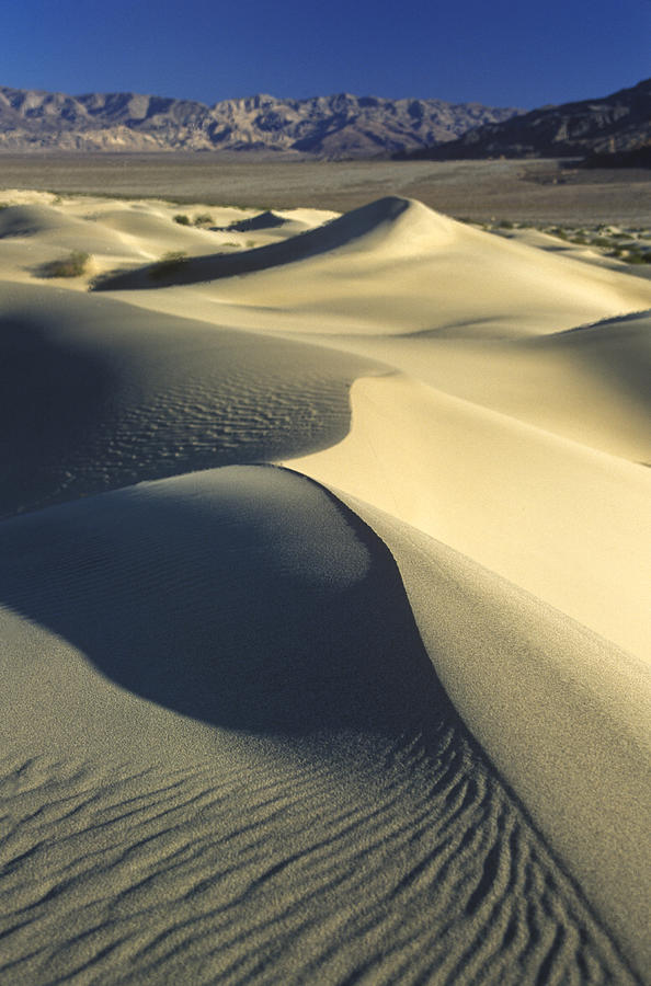 Sand Dune Death Valley #10 Photograph by Joe  Palermo