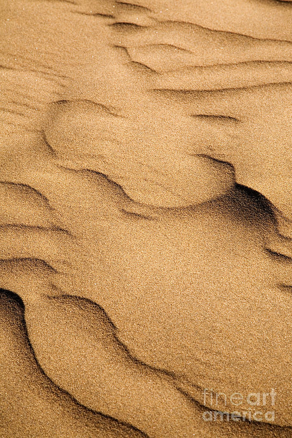 Sand dunes #1 Photograph by Kati Finell