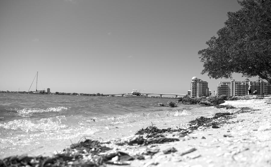 Beach Photograph - Sarasota Bayfront #1 by Betsy Knapp