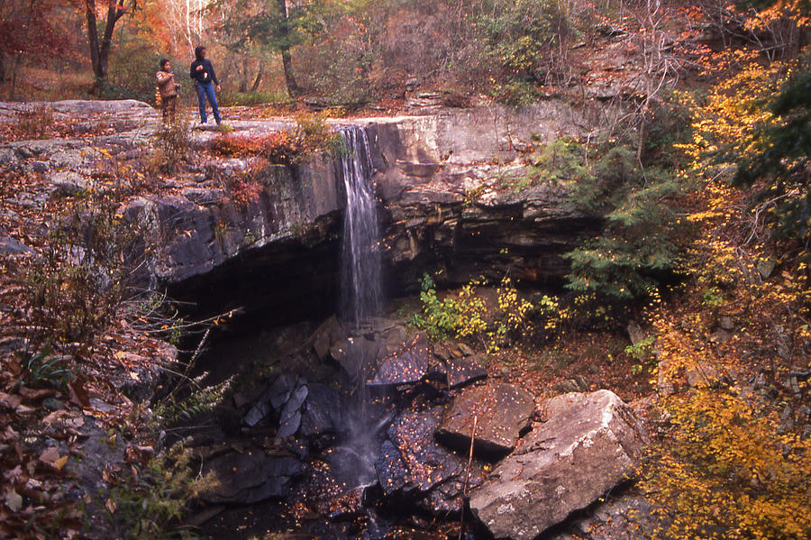 Savage Gulf Waterfall - 1 Photograph by Randy Muir - Fine Art America