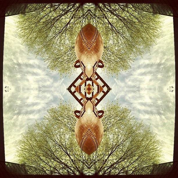Abstract Photograph - #scifi #symmetry #picoftheday #1 by Nicolas Marois