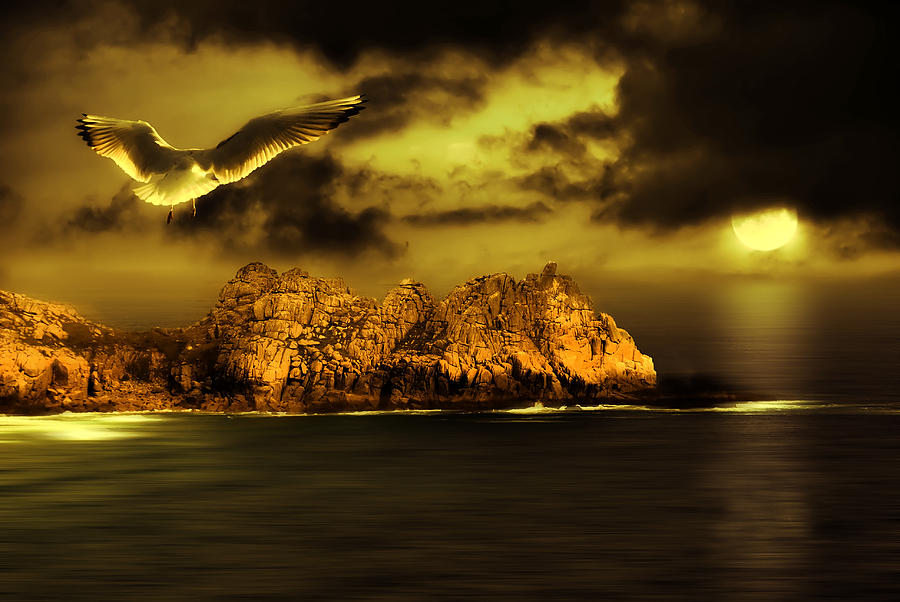 Fantasy Photograph - Seagull flight #1 by Jaroslaw Grudzinski