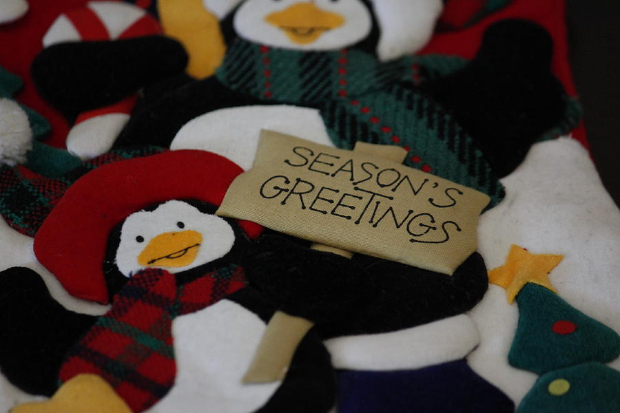 Seasons Greetings Photograph by Ivete Basso Photography
