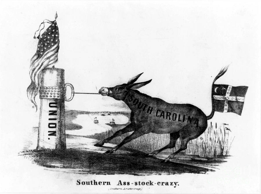 Donkey Photograph - Secession Cartoon, 1861 #1 by Granger