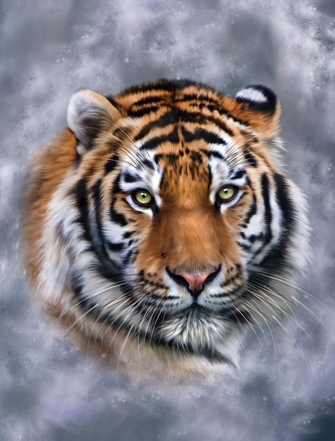 Tiger Digital Art - Siberian Tiger #1 by Julie L Hoddinott