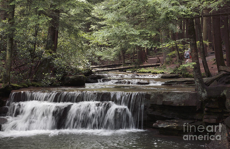 Side Creek at Swallow Falls State Park in western Maryland Photograph by William Kuta