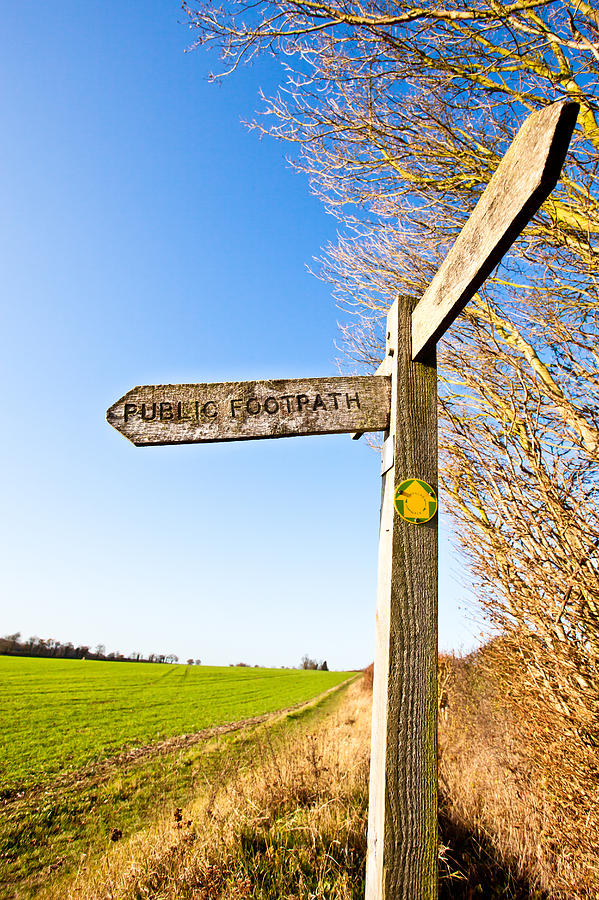 Sign post Photograph by Tom Gowanlock - Fine Art America