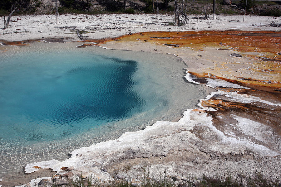 Yellowstone National Park Photograph - Silex Spring #1 by Jerry Tompkins