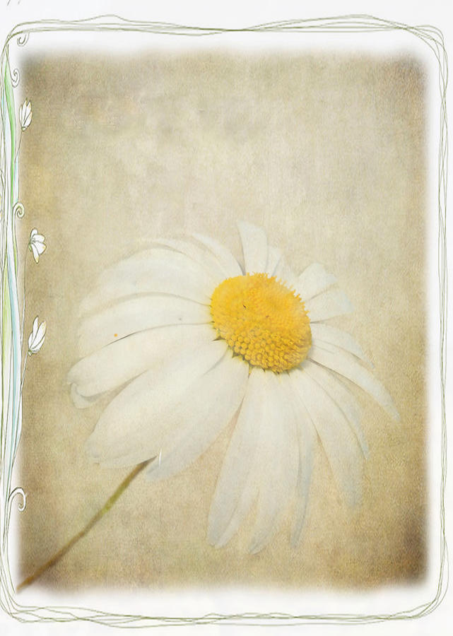 Flower Photograph - Simple Daisy #1 by Julie Williams