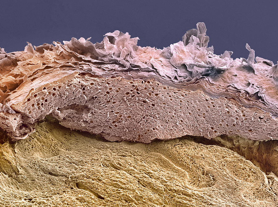 Глина под микроскопом фото