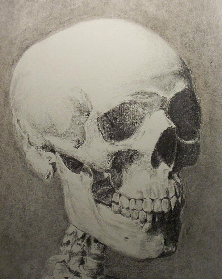 Skull #1 Drawing by Rachel Bochnia