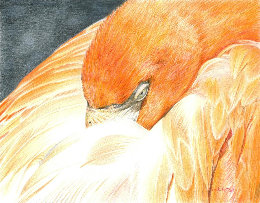 Feather Painting - Sleeping Flamingo #1 by Carla Kurt