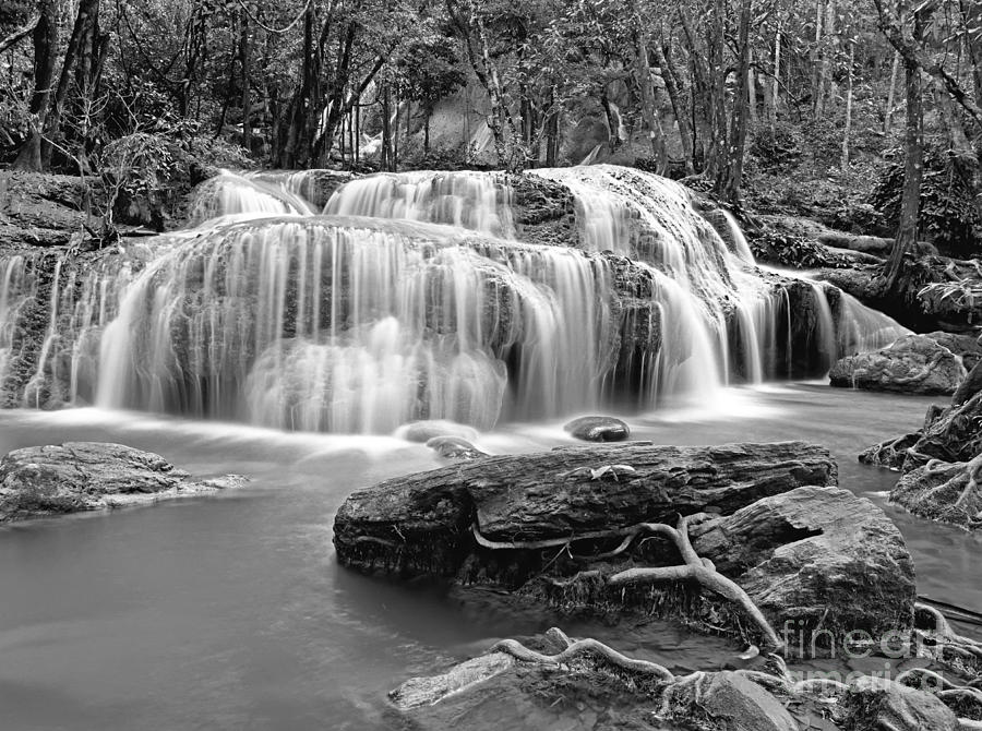 Spring Photograph - Small forest waterfall #1 by Sergey Korotkov
