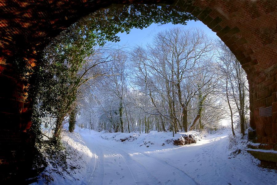 Camera Photograph - Snow through the bridge #1 by Ed Lukas