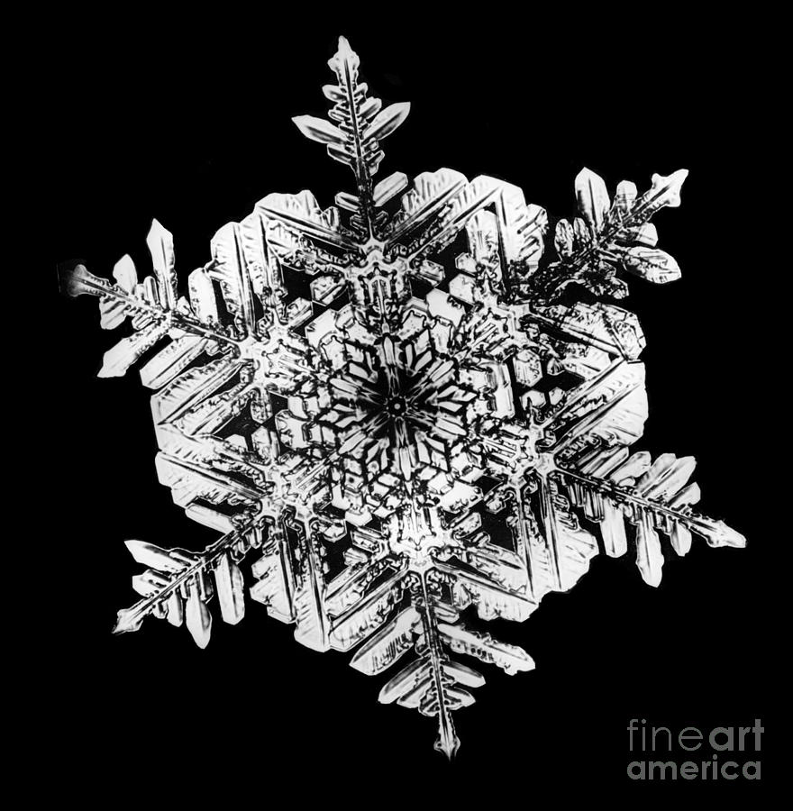Snowflake Photograph - Snowflake #1 by Science Source