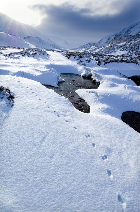 Winter Photograph - Snowy Landscape, Scotland #1 by Duncan Shaw